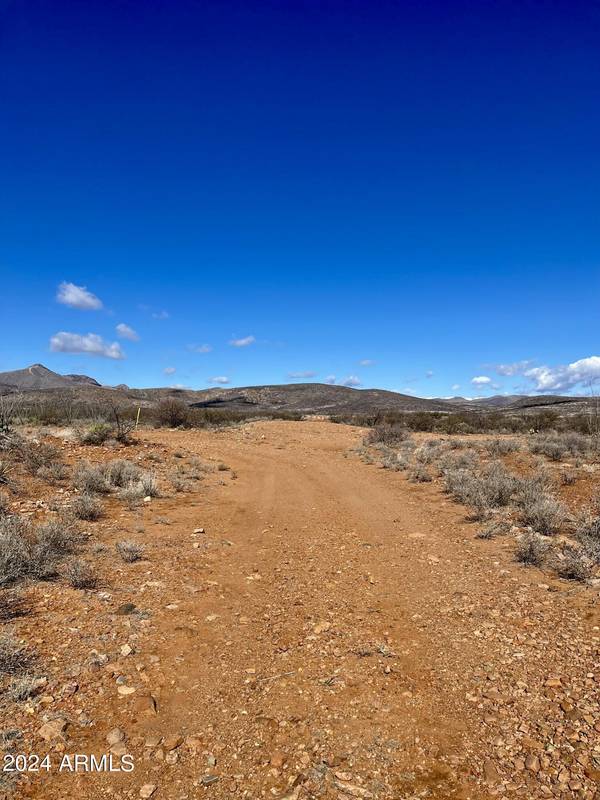 Douglas, AZ 85607,W 39.918 AC LOT 23 -- W #23