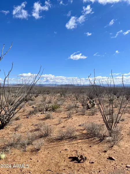 W 39.918 AC LOT 23 -- W #23, Douglas, AZ 85607