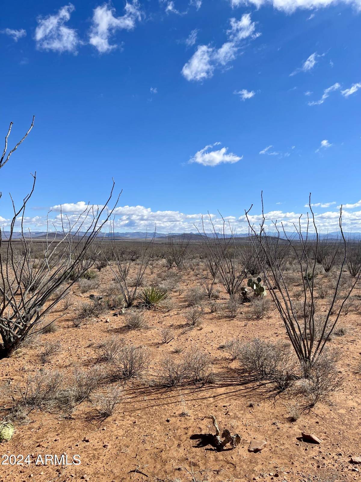 Douglas, AZ 85607,W 39.918 AC LOT 23 -- W #23