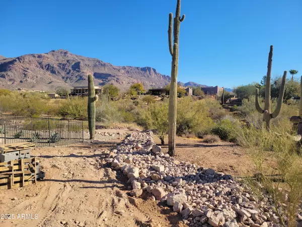 Gold Canyon, AZ 85118,4215 S WILLOW SPRINGS Trail