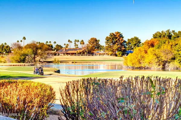 Scottsdale, AZ 85254,5122 E SHEA Boulevard #1029