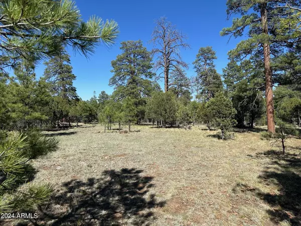 Happy Jack, AZ 86024,5262 Stargazer Drive #3A