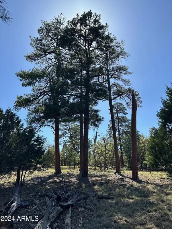 Happy Jack, AZ 86024,5262 Stargazer Drive #3A