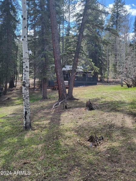 6 County Road 1007 -- #6, Greer, AZ 85927