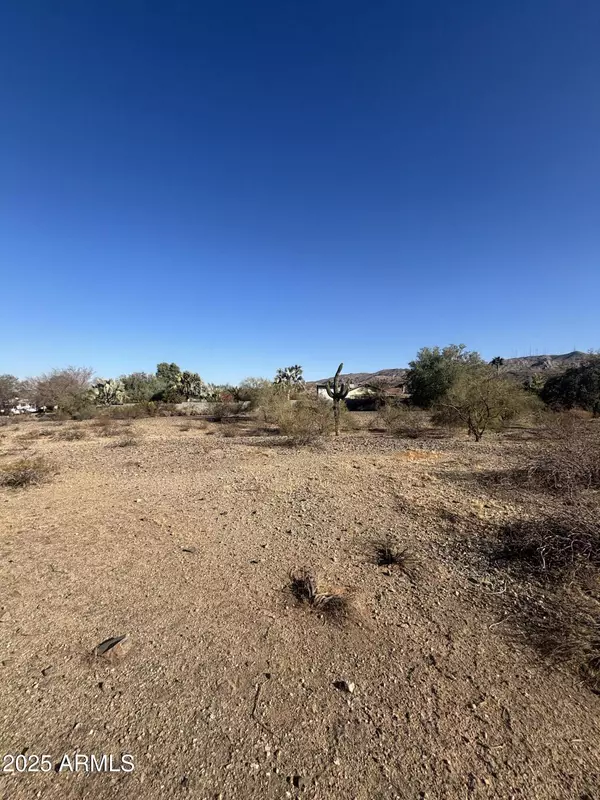 Phoenix, AZ 85041,1540 W Olney Avenue #-