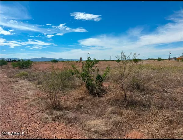 Douglas, AZ 85607,Address Lot 549 Drive #549