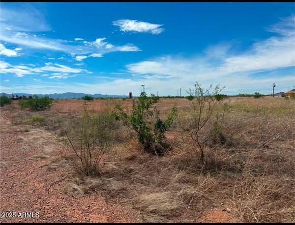 Douglas, AZ 85607,Address Lot 549 Drive #549