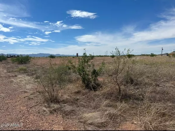 Douglas, AZ 85607,Address Lot 549 Drive #549