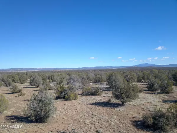 Ash Fork, AZ 86320,137 Cattle Drive #28