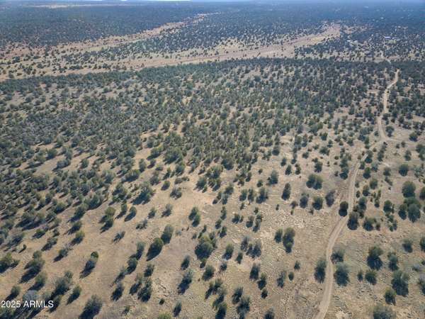 Ash Fork, AZ 86320,137 Cattle Drive #28