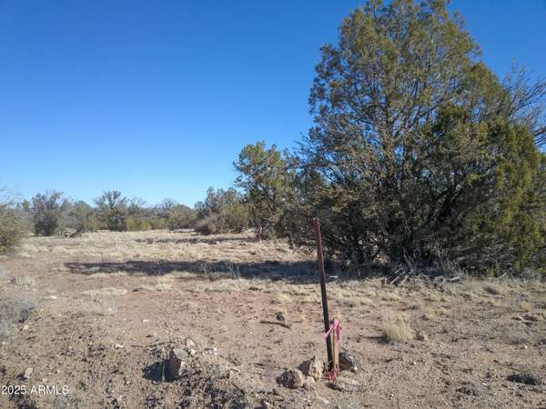 Ash Fork, AZ 86320,137 Cattle Drive #28