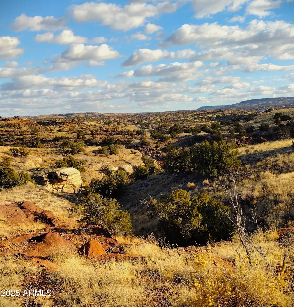 St Johns, AZ 85936,35 River Springs Ranch -- #035