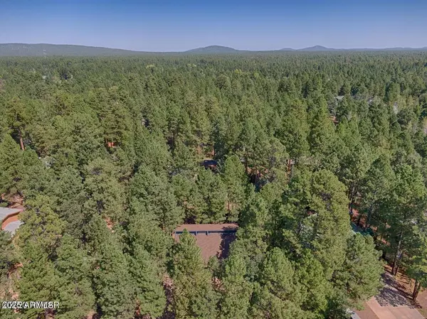 Pinetop, AZ 85935,4936 BLACK PANTHER Loop