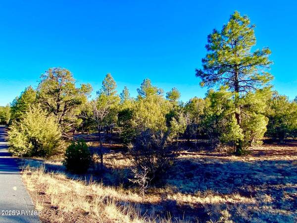 Show Low, AZ 85901,761 W Sierra Pines Drive #-