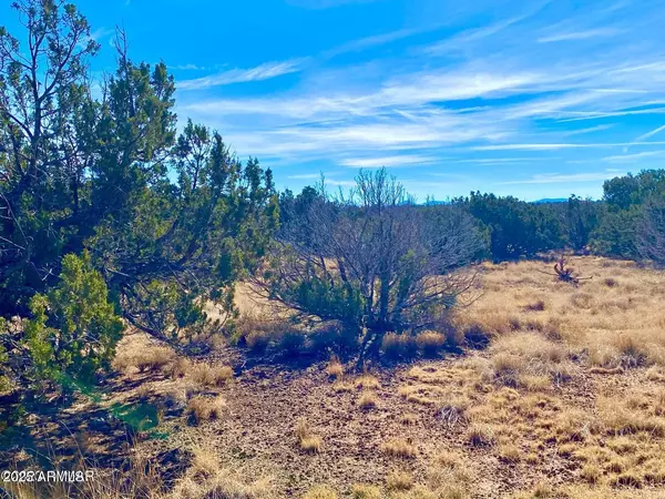 Concho, AZ 85924,County Road 8305 -- #-