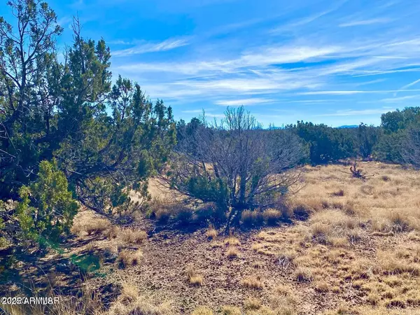 Concho, AZ 85924,County Road 8305 -- #-