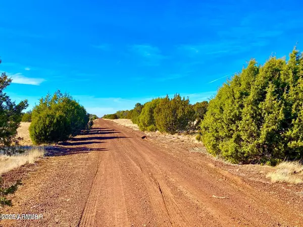 Concho, AZ 85924,County Road 8305 -- #-