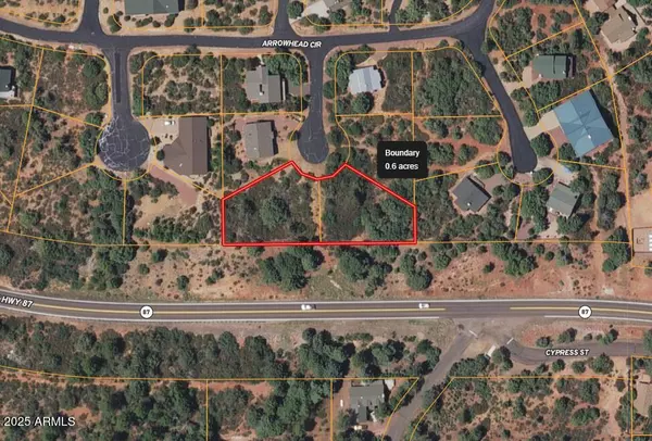 Pine, AZ 85544,0 Drumecho Cir Lots 12 & 13 -- #-