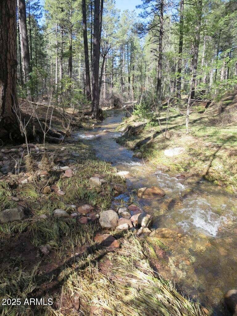 Payson, AZ 85541,18 Morris Meadows -- #18