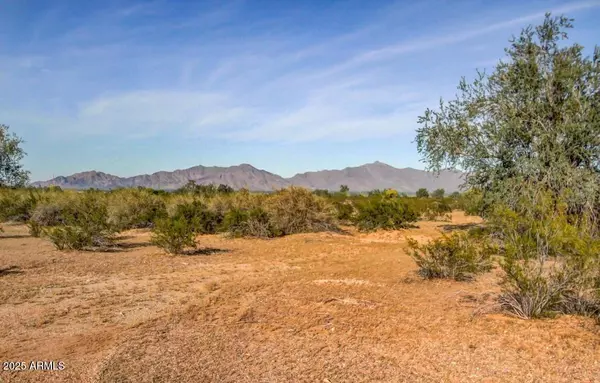 Buckeye, AZ 85326,18309 W Mewes Road #-