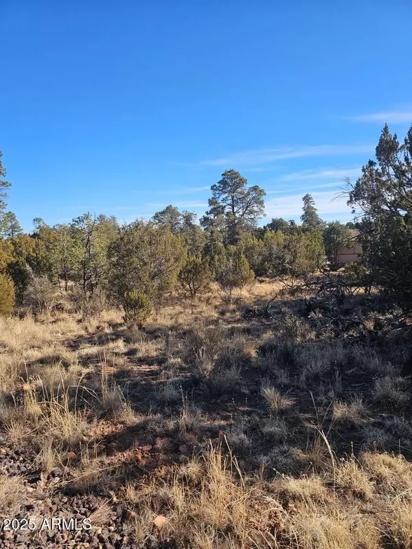 Overgaard, AZ 85933,Buckskin Road #A