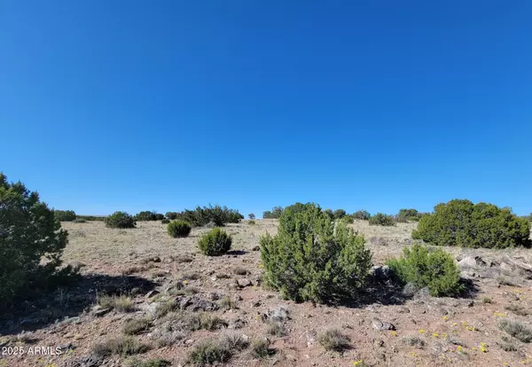 St Johns, AZ 85936,44 County Rd N6510 -- #-