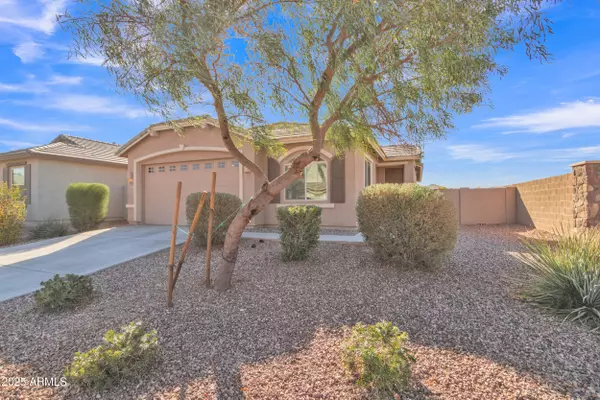 San Tan Valley, AZ 85140,463 W PINNACLE RIDGE Drive