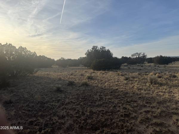 St Johns, AZ 85936,7199 Lot 004 Witch Well Ranches -- #004