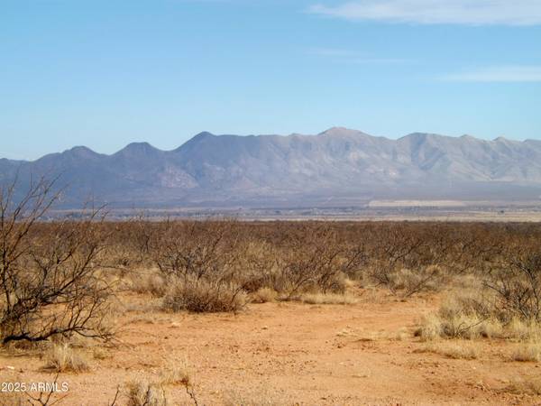 Elfrida, AZ 85610,56 N Last Trail #56