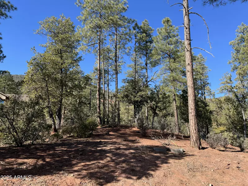 57 Forest Trail Court #57, Pine, AZ 85544