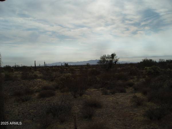 Unincorporated County, AZ 85390,33239 W RESTIN Road #93