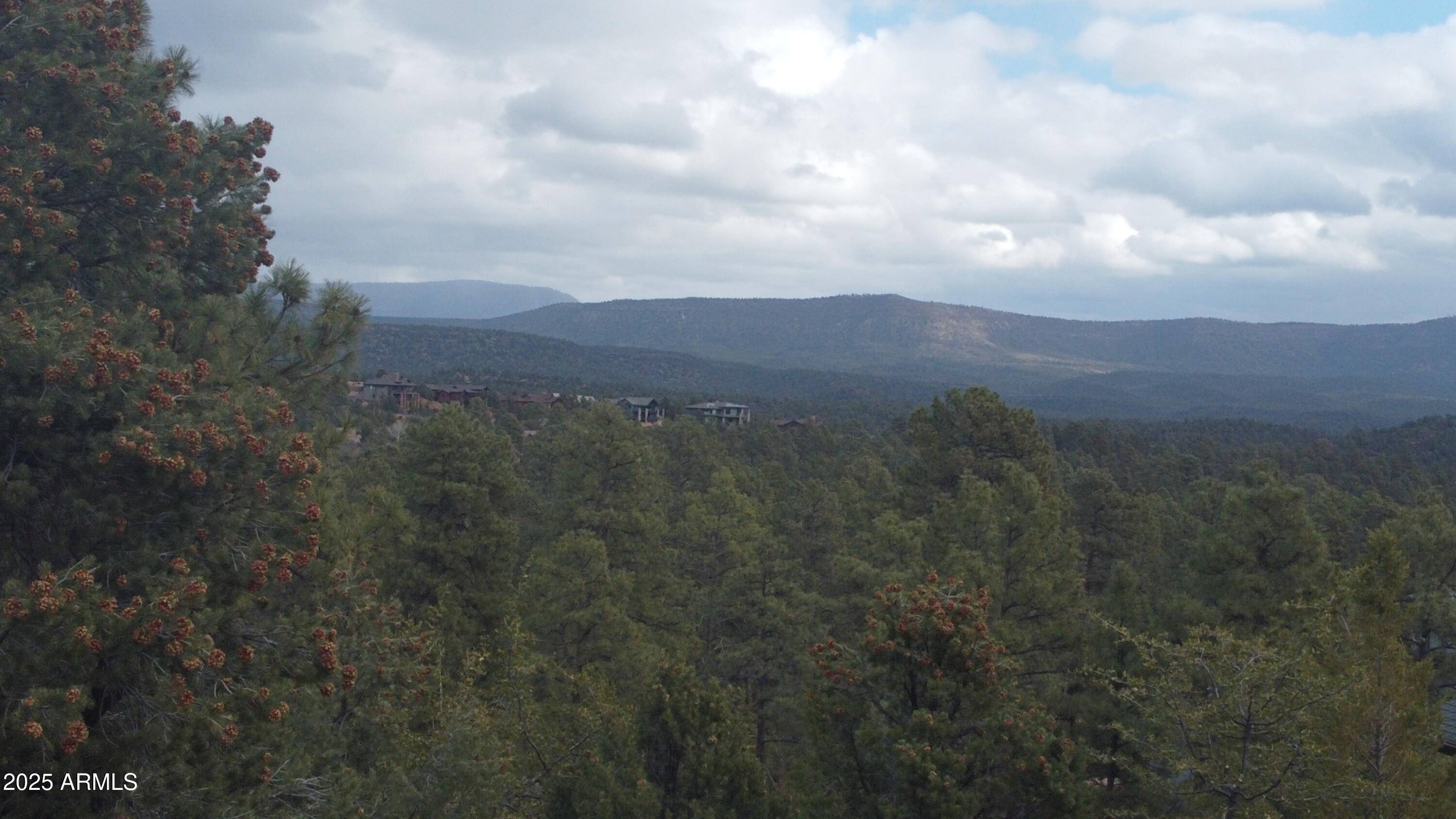 Payson, AZ 85541,515 N GRAPEVINE Drive #439