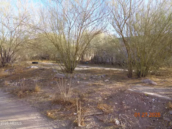 Douglas, AZ 85607,626 E 7TH Street #9