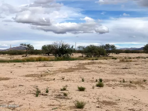 Saint David, AZ 85630,0 E Taylor Pass #0