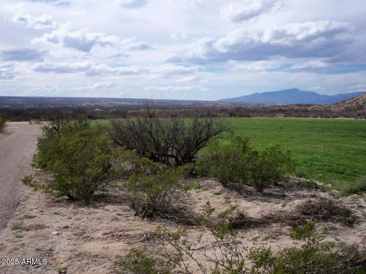 Saint David, AZ 85630,0 E Taylor Pass #0