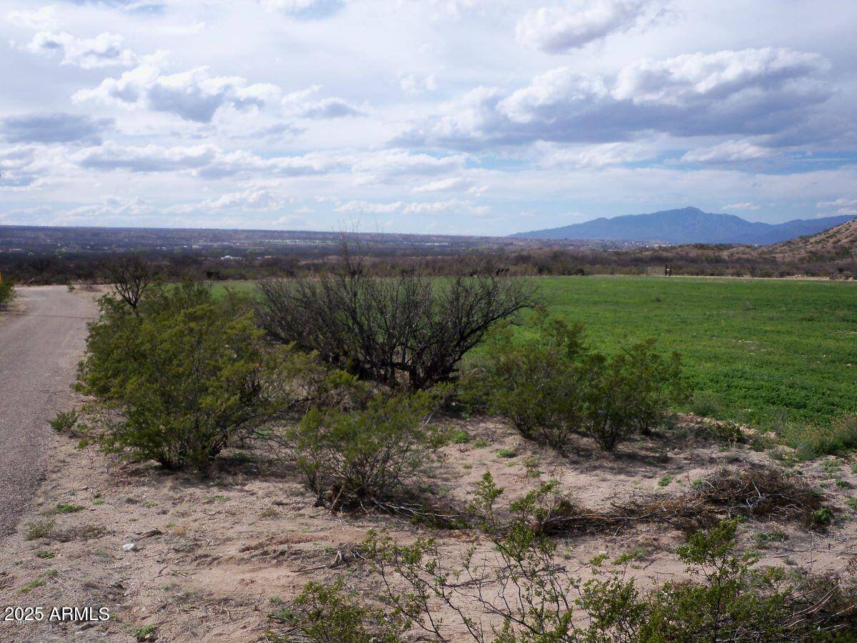 Saint David, AZ 85630,0 E Taylor Pass #0