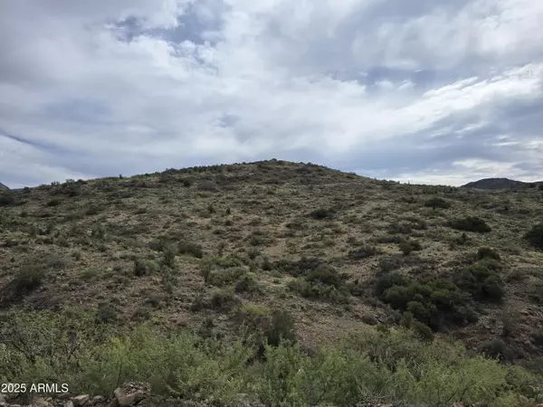 Yarnell, AZ 85362,3 N Mina Road #-