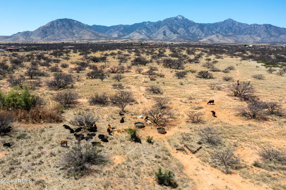 Hereford, AZ 85615,38 3 Canyons Boulevard #P