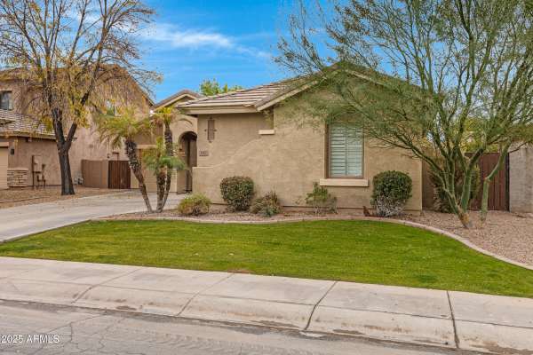 141 W ROADRUNNER Drive, Chandler, AZ 85286