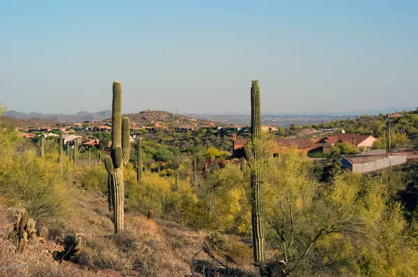 Fountain Hills, AZ 85268,12008 N Eagle Ridge Drive #67