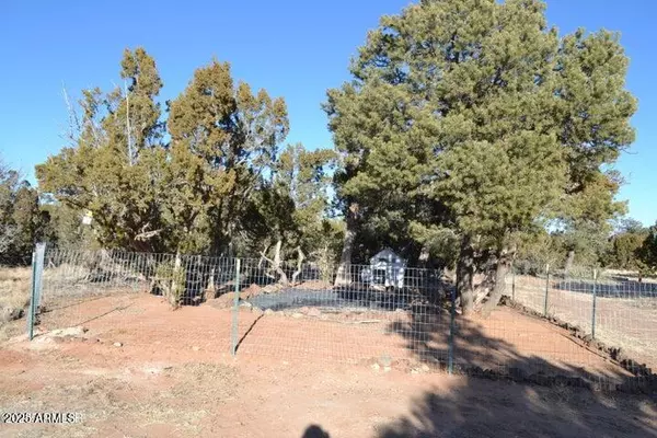 Concho, AZ 85924,74 N N8355 ALT --