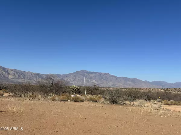 Tonto Basin, AZ 85553,2215 E Marigold Lane #-