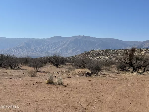 Tonto Basin, AZ 85553,2215 E Marigold Lane #-