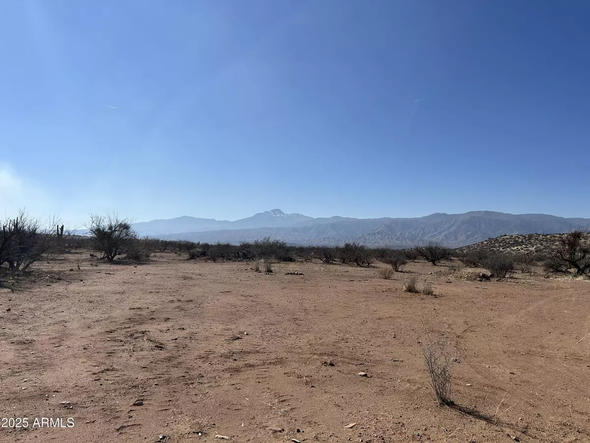 Tonto Basin, AZ 85553,2215 E Marigold Lane #-