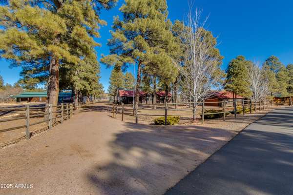 Overgaard, AZ 85933,2312 BISON RANCH Trail