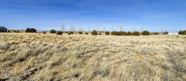 Taylor, AZ 85939,1351 S MEADOW Way #81