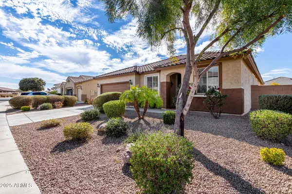 San Tan Valley, AZ 85143,1081 W BRANGUS Way