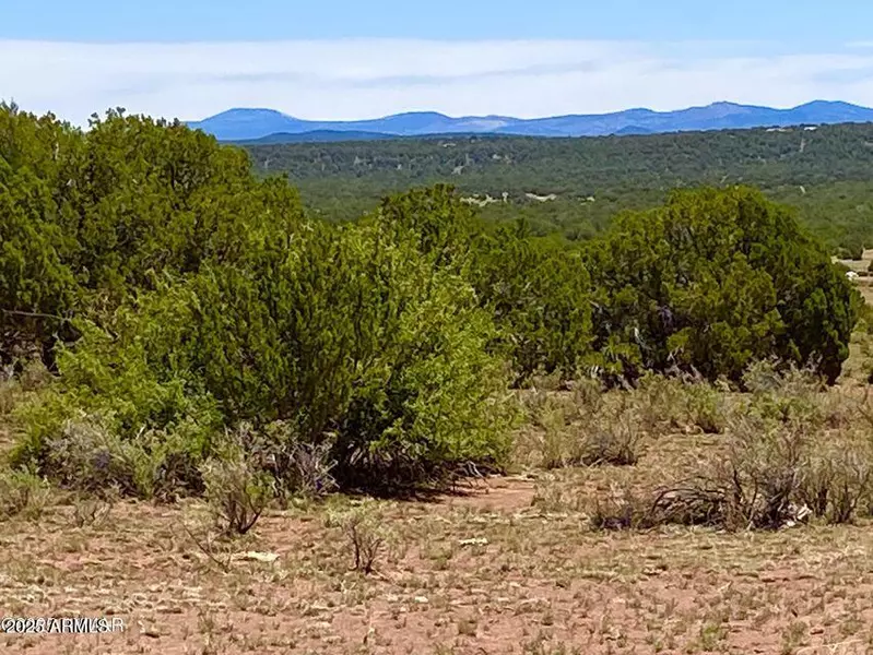 9780 Texas Lane 39.89 Acres -- #-, Show Low, AZ 85901