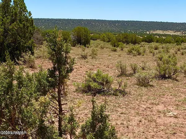 Show Low, AZ 85901,9780 Texas Lane 39.89 Acres -- #-