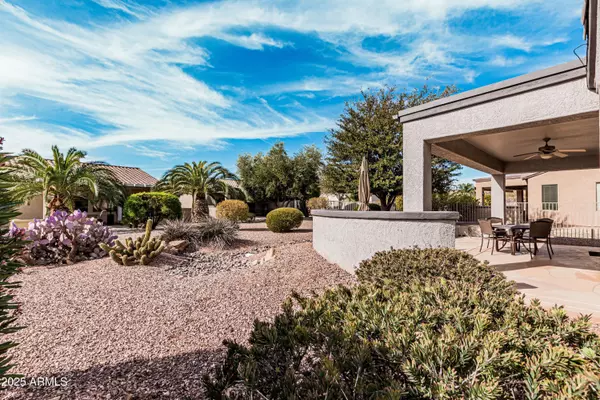 Surprise, AZ 85387,17061 W PEREGRINE Lane